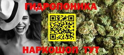 СК Пушкино