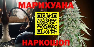 твердый Пугачёв